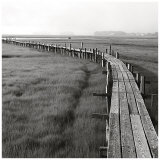 The Boardwalk, Early Print by Dorothy Kerper Monnelly