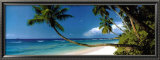 Anse Sévère, Seychelles Affiches par David Noton
