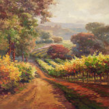 Vineyard Way Prints by Roberto Lombardi