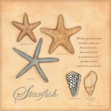 Estrellas de mar Pósters por Stephanie Marrott