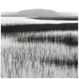 Nut Island, Salt Marsh Affiches par Dorothy Kerper Monnelly