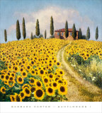 Sunflowers I Prints by Barbara Carter