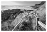 Pathway to Beach Prints by Dennis Frates