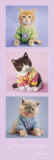 Rachael Hale - Kitty Couture Prints