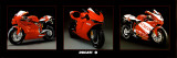 Ducati Bikes Print