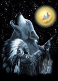 Native American Plakater Native American Plakater