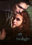 Twilight Posters