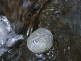 Stone with Word Trust in Water of Tranquil Stream Fotografie-Druck