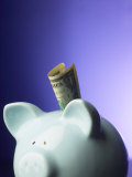 One Dollar Bill Inserted in Slot of Piggy Bank Photographic Print
