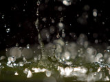 Close-Up of Water Droplets Falling with a Dark Background Lámina fotográfica Close-Up of Water Droplets Falling with a Dark Background Lámina fotográfica