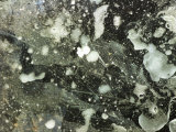 Droplets of Water on Gray Mottled Surface Photographic Print