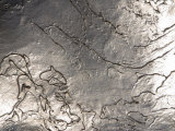 Texture of Shiny Metal Surface Photographic Print