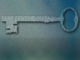 Binary Code on Skeleton Key Photographic Print