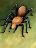 Tarantula Spider Posters