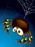 Stylized Spider Hanging from Web Photo