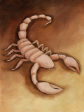 Scorpion - Resim Scorpion - Resim