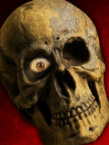 Human Skull with Wooden Eye Prints