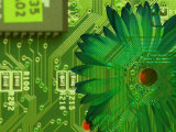 Conceptual Shot of Flower Growing on Computer Circuit Board Photographic Print