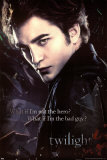 Twilight Poster
