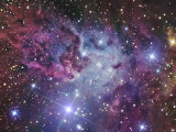 Fox Fur Nebula Reprodukcja zdjęcia autor Stocktrek Images