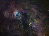 Narrowband Emission in Cygnus Photographic Print by Stocktrek Images 