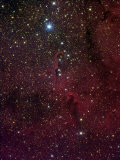 Elephant's Trunk Nebula Inside IC 1396 Photographic Print by Stocktrek Images 