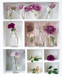 Caiser de Printemps Plakat af Louis Gaillard