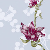 Berry Prints by Adeline Bec