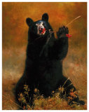 Black Bear with Berries Prints by H. Kendrick