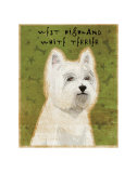 West Highland White Terrier Affiches par John Golden