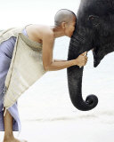 Nose to Nose, Thailand Affiche par David Trood