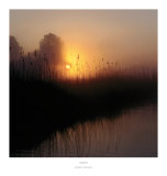 Peaceful Hush Affiche par John Eccles