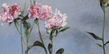 Peonías Pósters por Claire Basler
