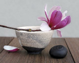 Magnolia and Bowl Print by Amelie Vuillon
