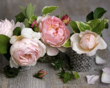 Catherine Beyler - Trois Roses Obrazy Catherine Beyler - Trois Roses Obrazy