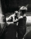The Caretaker's Cat Posters by Willy Ronis