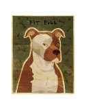 Pit bull Pósters por John Golden