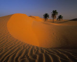 Algerie Poster par Philippe Bourseiller