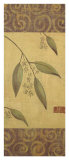 Eucalyptus Leaves I Poster by Gayle Bighouse