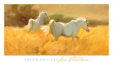 Meadow Art par Lani Vlaanderen