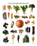 Vegetables of Yesteryears Posters