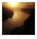 Morning Blush Affiches par John Eccles
