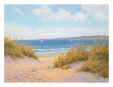 Sand and Sea Song Poster by J.j. Carter