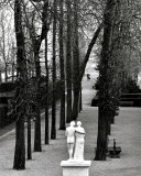 Parc de Saint-Cloud, c.1981 Poster av Edouard Boubat