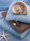 Catherine Beyler - Coquillage et Eponges - Reprodüksiyon Catherine Beyler - Coquillage et Eponges - Reprodüksiyon