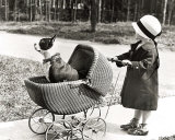 Paseando al perro Pósters