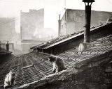 Cats on a Roof, Paris I Posters by Edouard Boubat