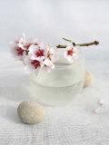 Almond Tree Kunst von Amelie Vuillon