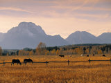 Jackson, Teton Range, Wyoming, USA Photographic Print by Walter Bibikow