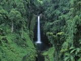 Afu Aau Waterfall, Savaii, Samoa Photographie par Neil Farrin